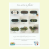 Cartes Anniversaire à Planter