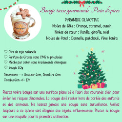 Bougies Gourmandes de Noël